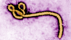 Ebola: An Evolving Epidemic