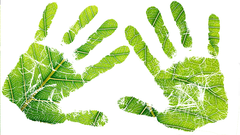 Learning for Sustainability: Developing a personal ethic