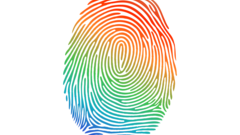 Pluralidades em Português Brasileiro