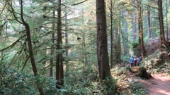 Forests and Humans: From the Midwest to Madagascar