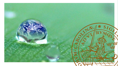 Greening the Economy: Lessons from Scandinavia