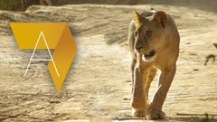 Gestion des aires protégées en Afrique