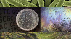 Engineering Life: Synbio, Bioethics & Public Policy