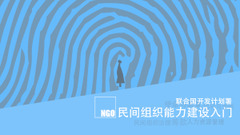 民间组织能力建设入门 Building Capacity of CSOs in China